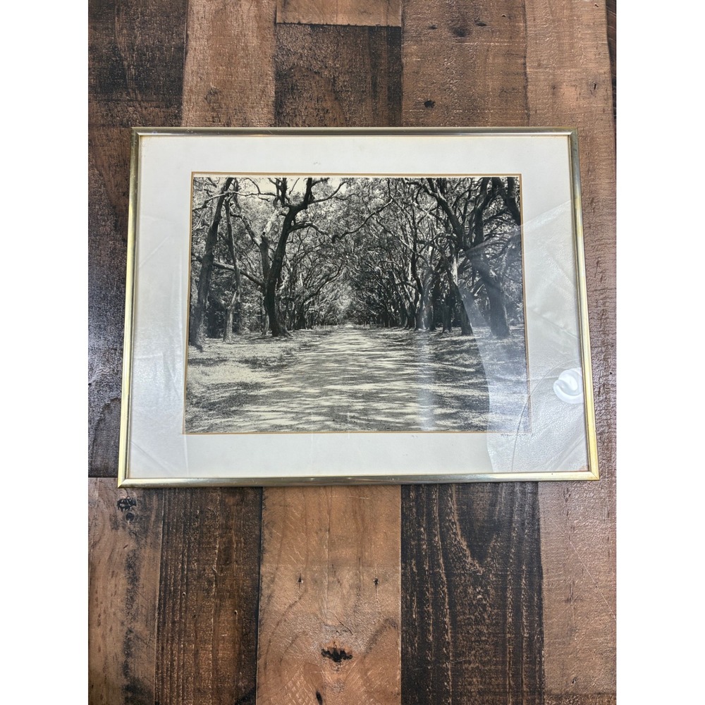 Roger Byrd 1981 Signed Black White Oak Tree Road Landscape Framed Print Art